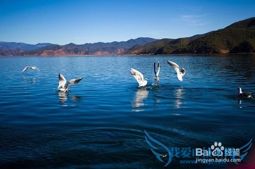 我们一起去云南吧