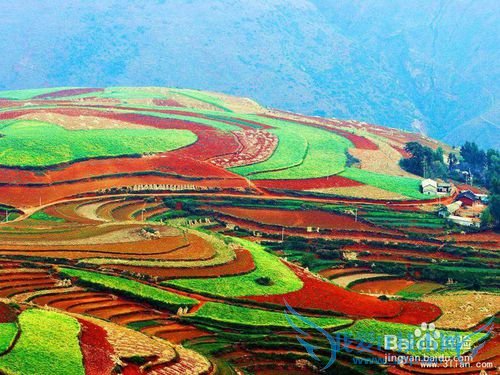 我们一起去云南吧