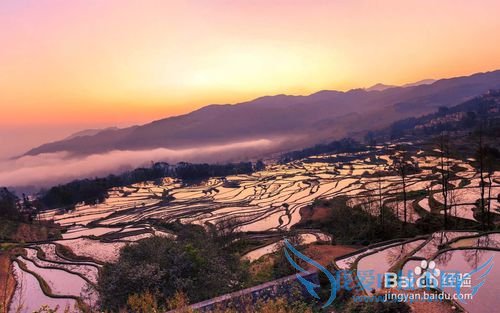 我们一起去云南吧