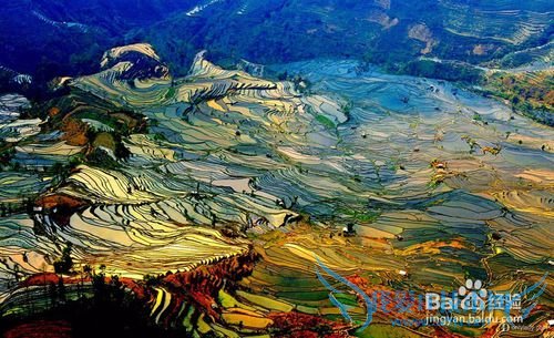 我们一起去云南吧