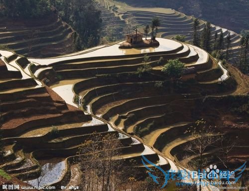 我们一起去云南吧