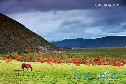 五一旅游去哪里好玩
