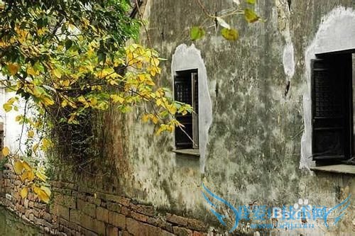 什么地方最适合旅游的