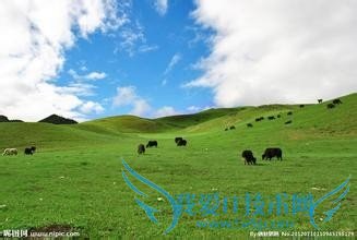十一国庆节去哪玩人少且景美