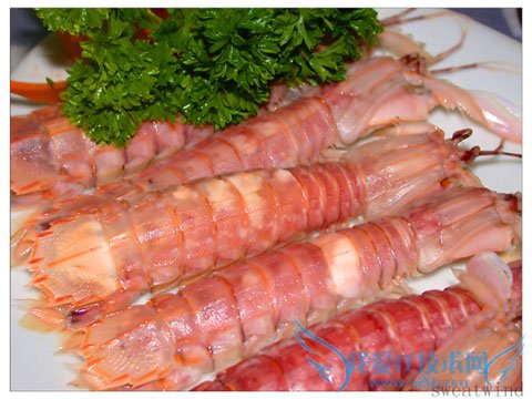 ÈýÑÇÂÃÓι¥ÂÔ-----ŨËõʵÓðæ