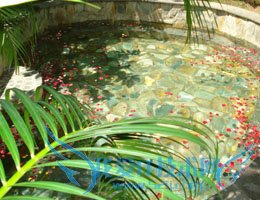 ÈýÑÇÂÃÓι¥ÂÔ-----ŨËõʵÓðæ