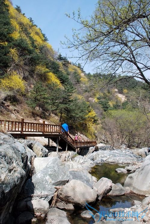 最值得参考的泰山旅游攻略