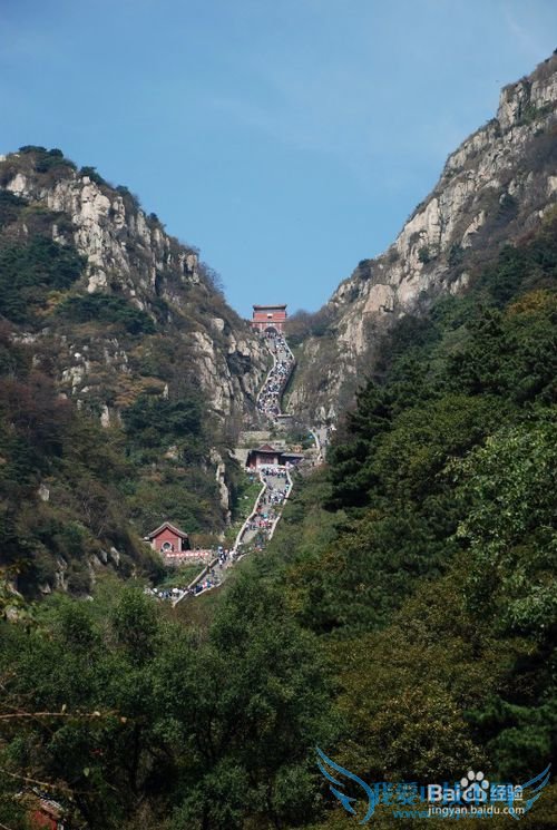 最值得参考的泰山旅游攻略