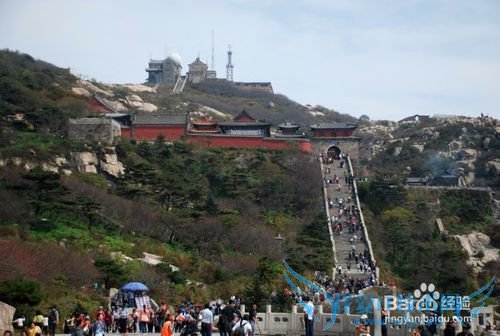 最值得参考的泰山旅游攻略