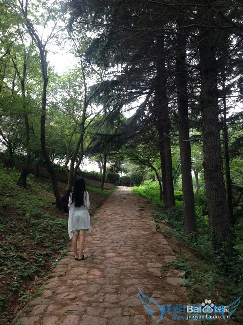 去青岛旅游的攻略