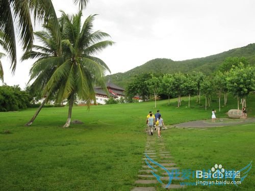 旅游可以增寿,让你健康百分百