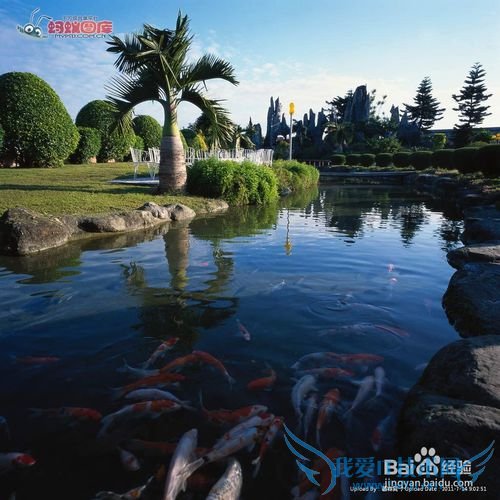 旅游可以增寿,让你健康百分百