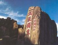 从天津去泰山旅游大概多少钱?