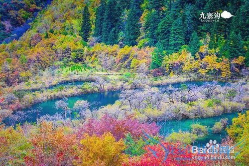 九寨沟黄龙旅游攻略