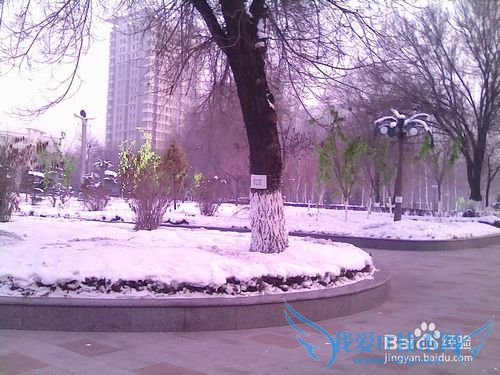 如何在北方冬天旅游