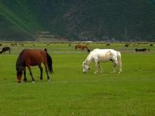 云南轻松旅游行程指南