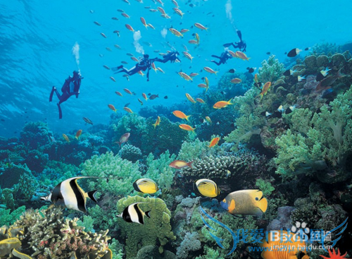 三亚潜水攻略 三亚旅游