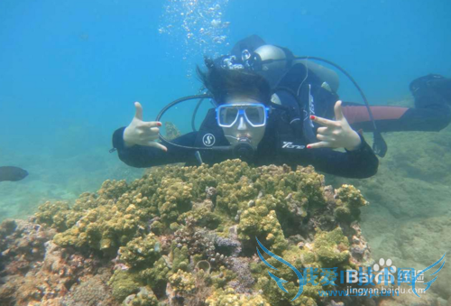三亚潜水攻略 三亚旅游