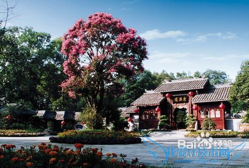 成都市旅游攻略