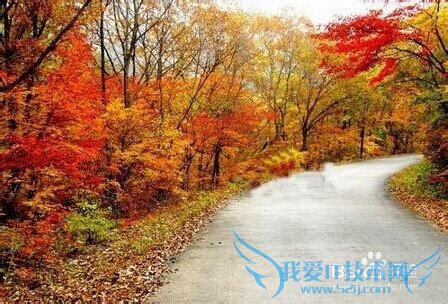 旅游去哪儿好---丹东风景区