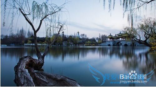 春天去哪些城市旅游 春季去哪些地方旅游