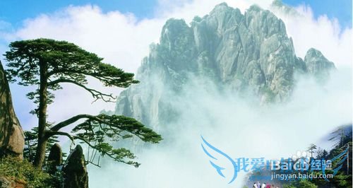 春天去哪些城市旅游 春季去哪些地方旅游