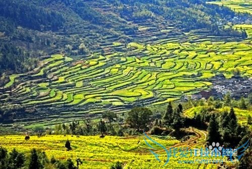 春天去哪些城市旅游 春季去哪些地方旅游