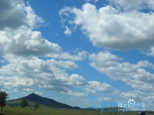 丰宁坝上草原旅游