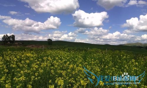 丰宁坝上草原旅游