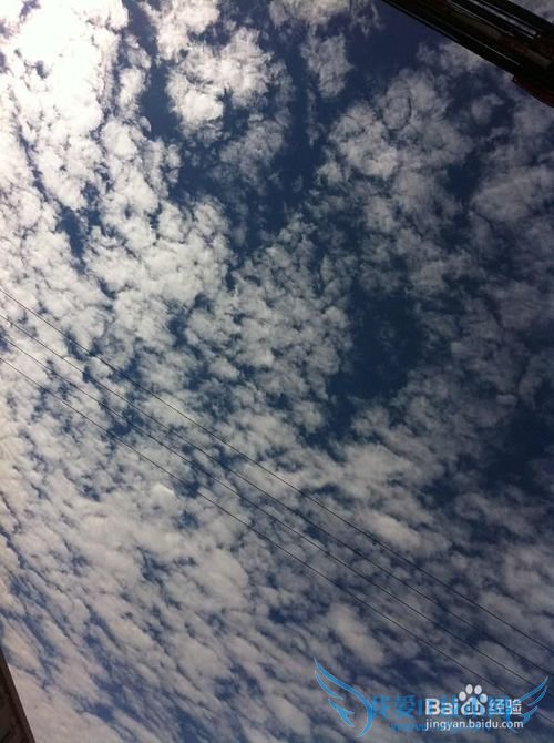 丰宁坝上草原旅游