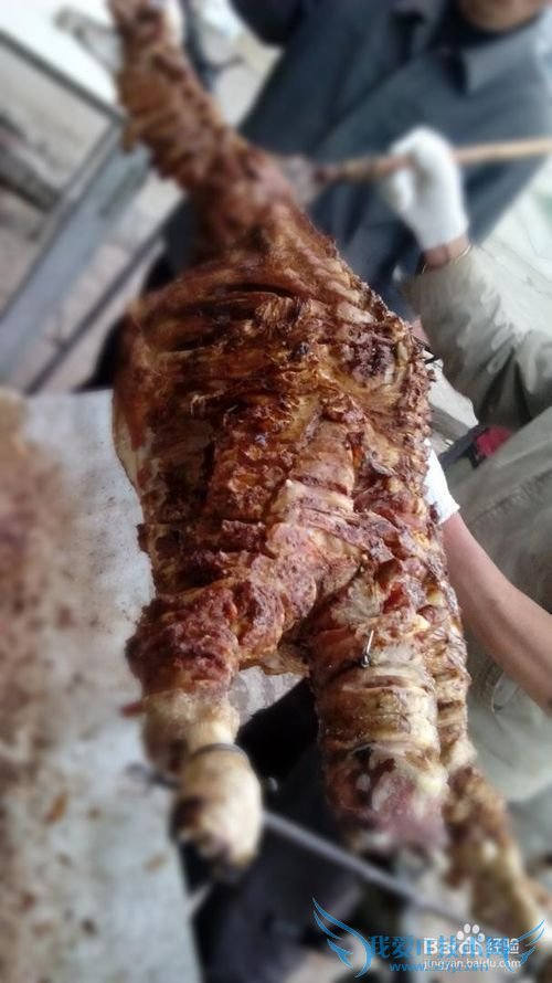 丰宁坝上草原旅游