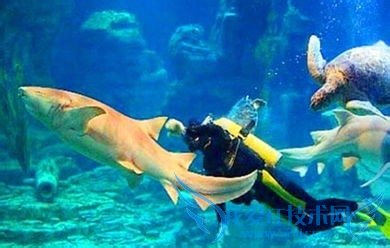 武汉旅游年卡如何激活