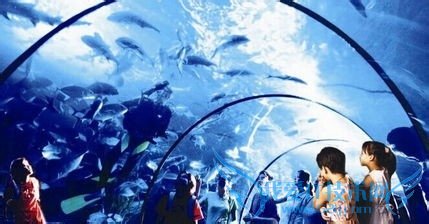 武汉旅游年卡如何激活