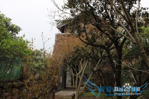 假期旅游之苏州西山明月湾古村