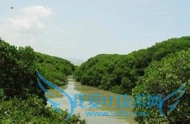 深圳旅游几大景点