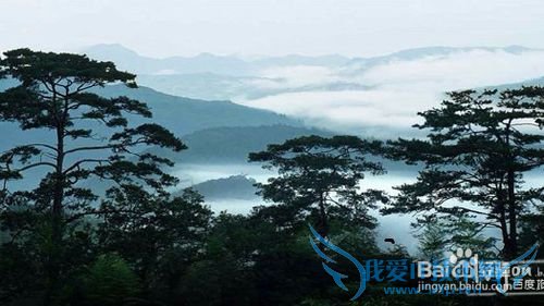 泉州有什么好玩的地方