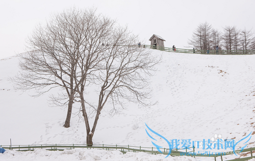 ½ÔµÀÒ»ÈÕÓÎÂÃÓι¥ÂÔ