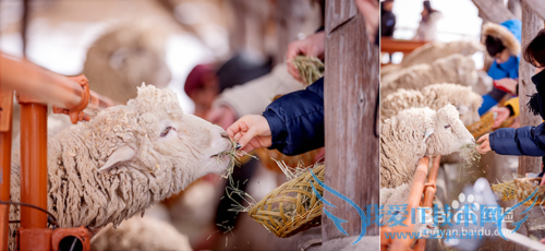 ½ÔµÀÒ»ÈÕÓÎÂÃÓι¥ÂÔ