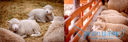 ½ÔµÀÒ»ÈÕÓÎÂÃÓι¥ÂÔ