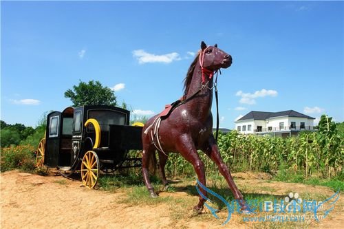 长沙到千龙湖一日游