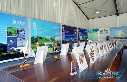 长沙到千龙湖一日游