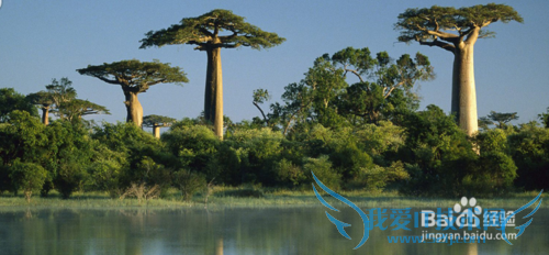 马达加斯加旅游必备物品