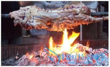 游草原必吃的草原美味