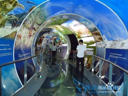 房山地质公园博物馆旅游攻略