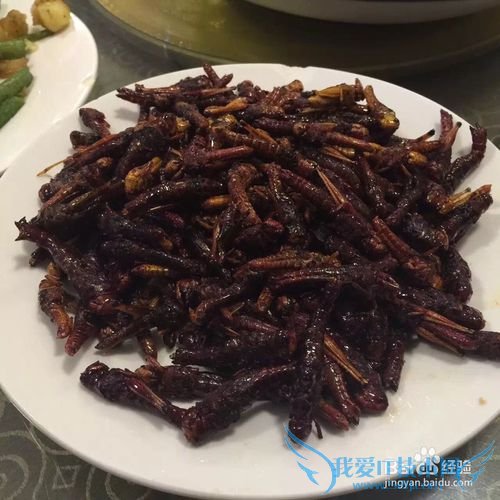 去云南旅游不可错过的美食