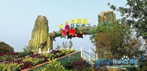 黄陂木兰玫瑰花园旅游攻略