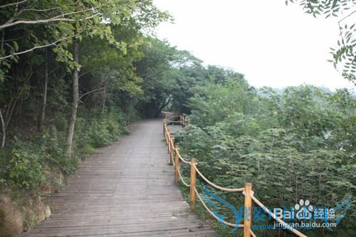 黄陂木兰玫瑰花园旅游攻略