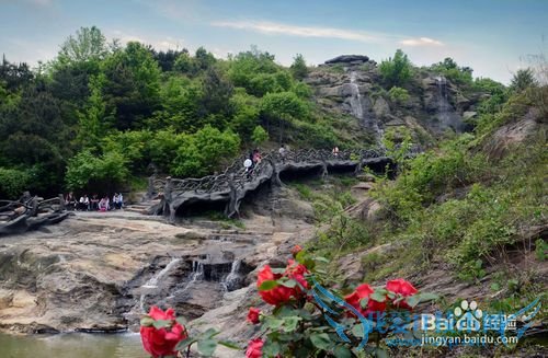 黄陂木兰玫瑰花园旅游攻略