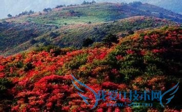 去云南旅游,东南西北都要好去处哦!