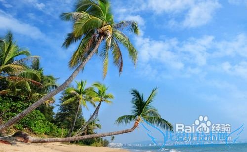 郑州去海南旅游多少钱